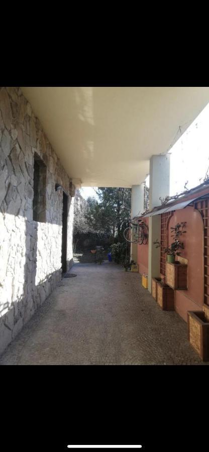 Appartamento Yellow House Torino Esterno foto